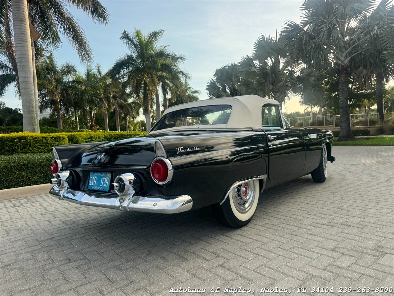 1955 Ford Thunderbird - Photo 11 - Naples, FL 34104