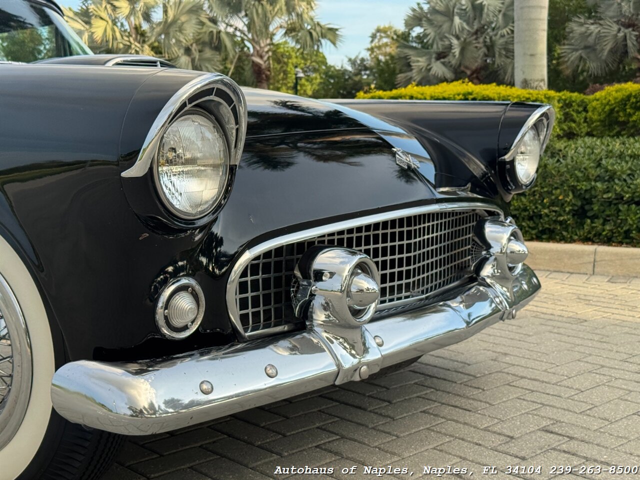 1955 Ford Thunderbird - Photo 18 - Naples, FL 34104