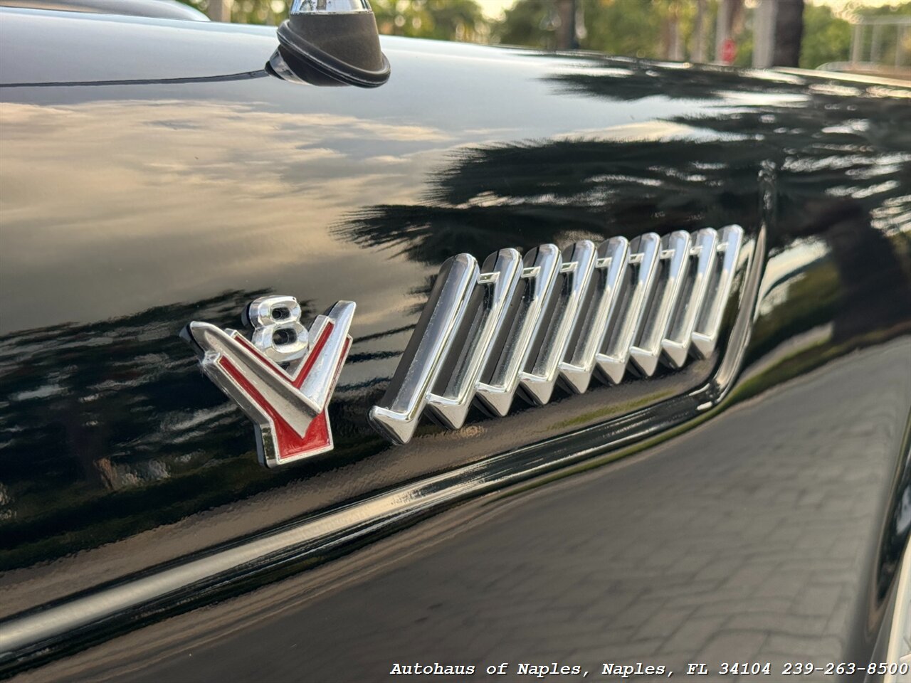 1955 Ford Thunderbird - Photo 3 - Naples, FL 34104