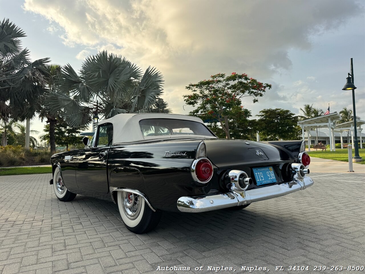 1955 Ford Thunderbird - Photo 13 - Naples, FL 34104