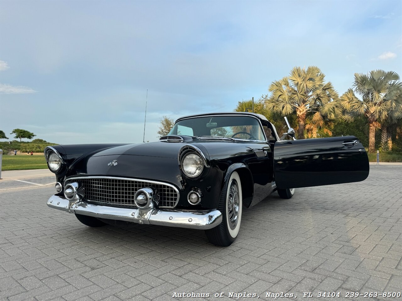 1955 Ford Thunderbird - Photo 23 - Naples, FL 34104