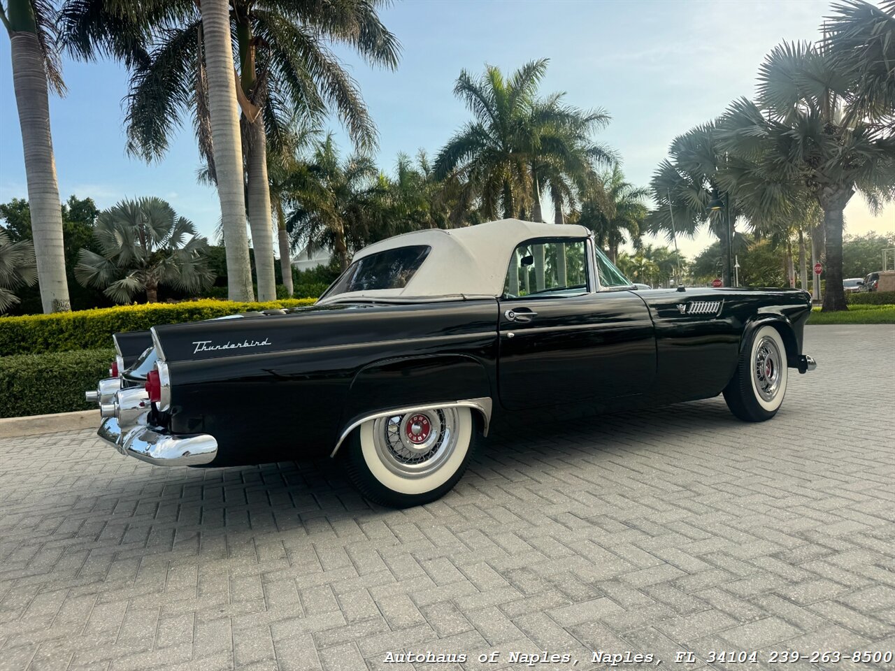 1955 Ford Thunderbird - Photo 9 - Naples, FL 34104