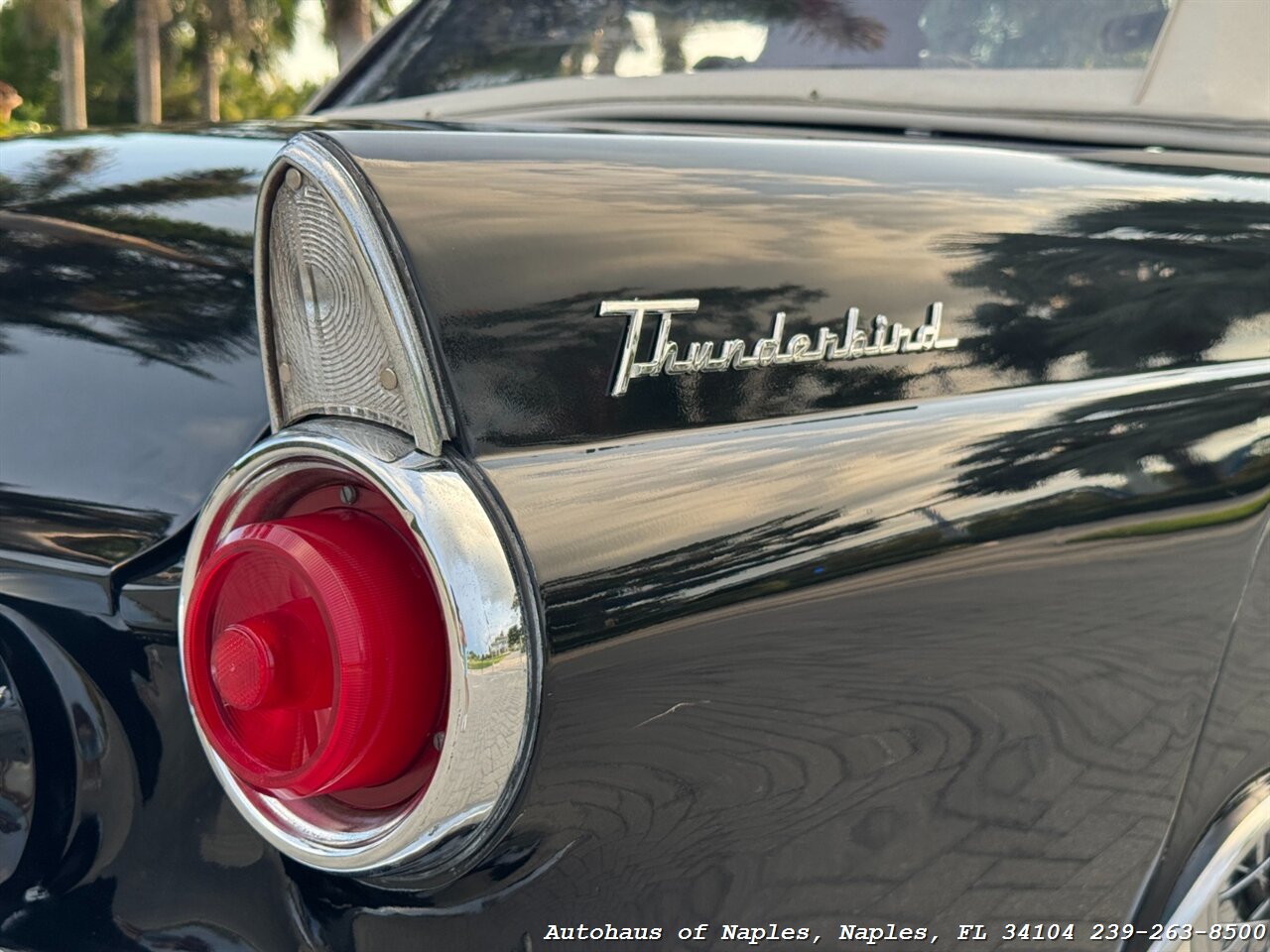 1955 Ford Thunderbird - Photo 4 - Naples, FL 34104