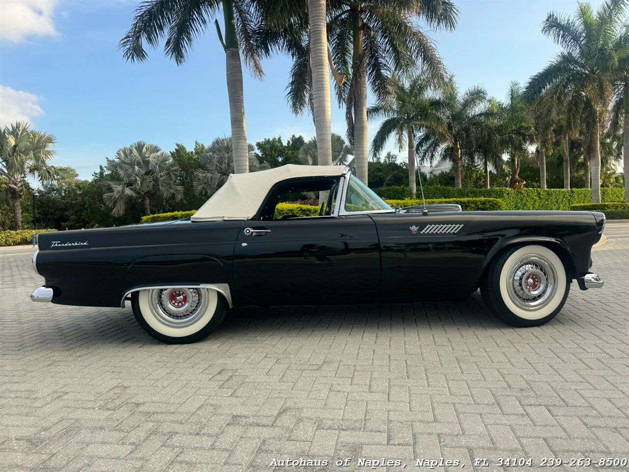 1955 Ford Thunderbird - Photo 7 - Naples, FL 34104