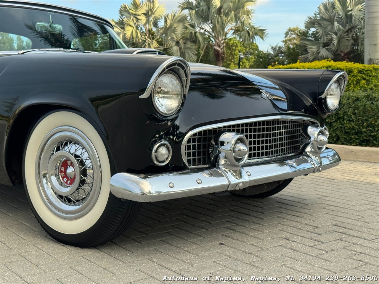 1955 Ford Thunderbird - Photo 19 - Naples, FL 34104