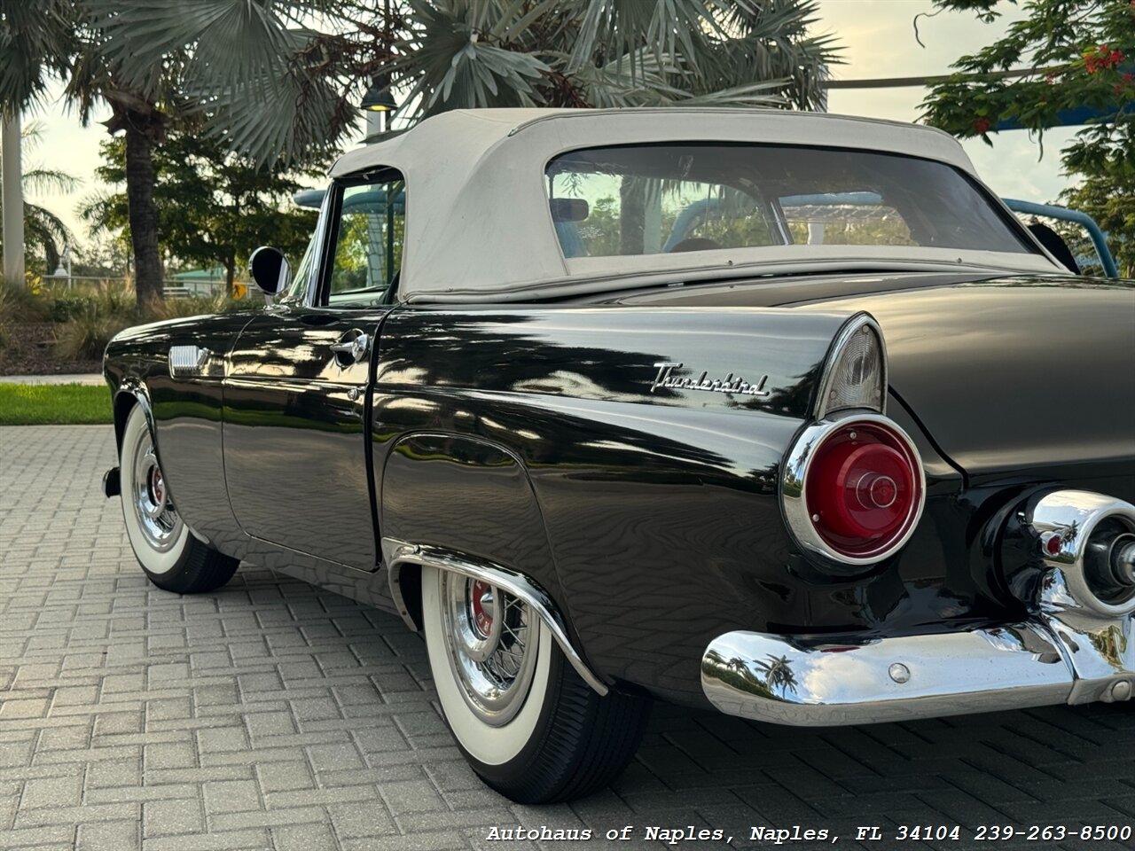 1955 Ford Thunderbird - Photo 38 - Naples, FL 34104