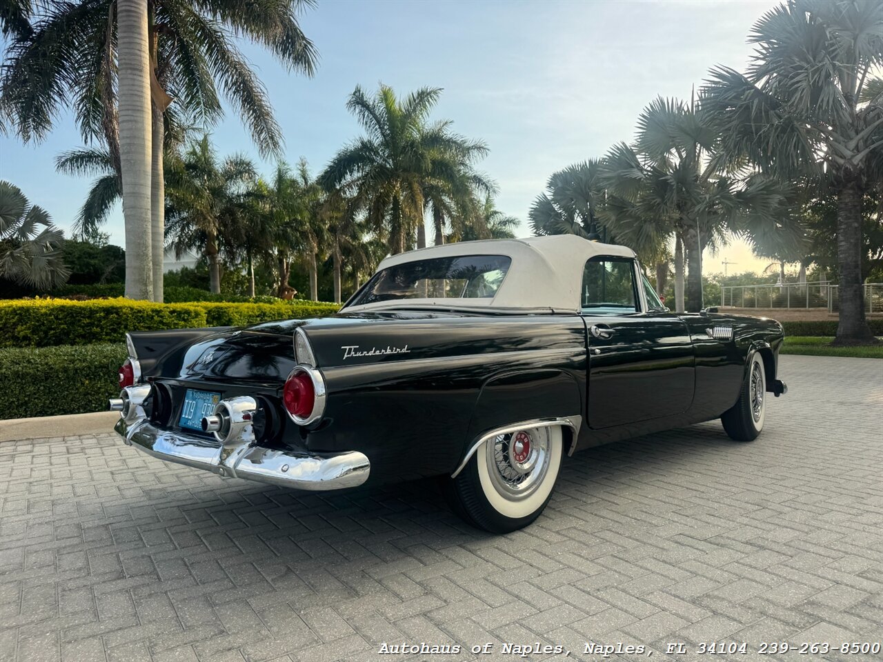 1955 Ford Thunderbird - Photo 10 - Naples, FL 34104