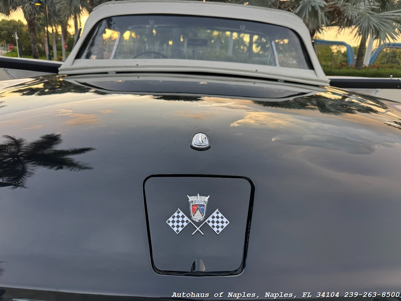1955 Ford Thunderbird - Photo 34 - Naples, FL 34104