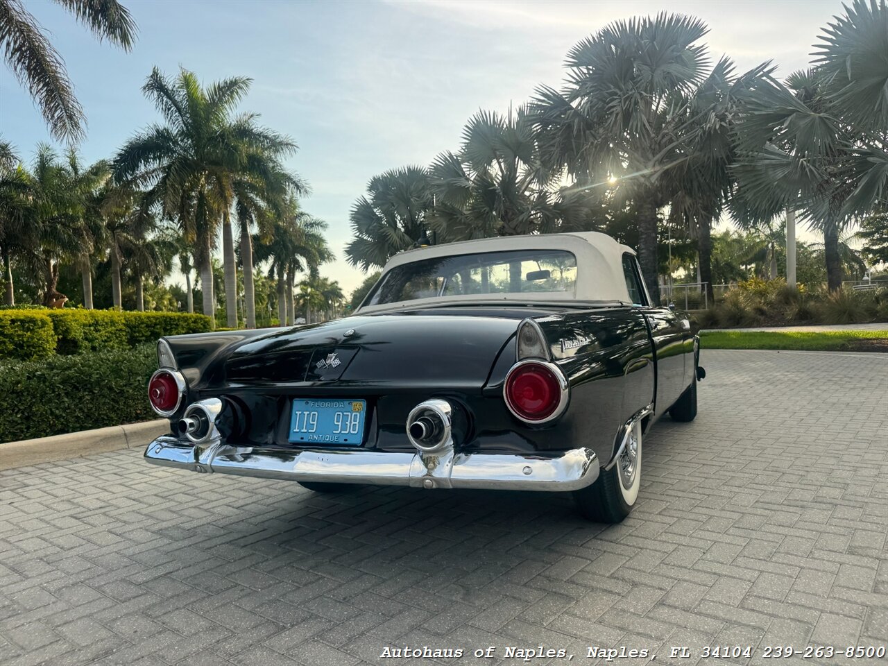 1955 Ford Thunderbird - Photo 12 - Naples, FL 34104