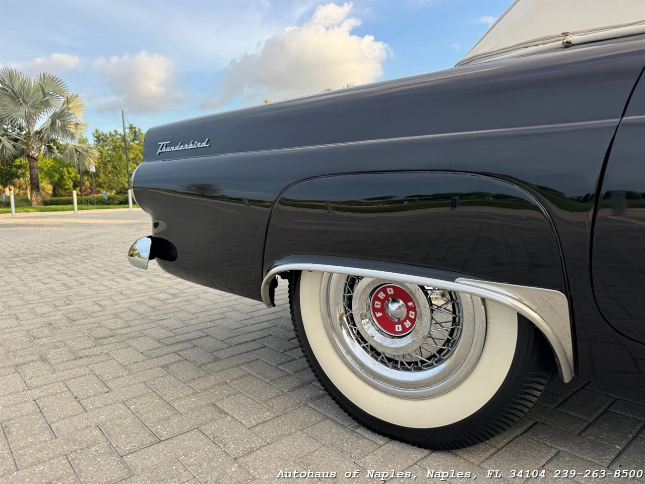 1955 Ford Thunderbird - Photo 17 - Naples, FL 34104