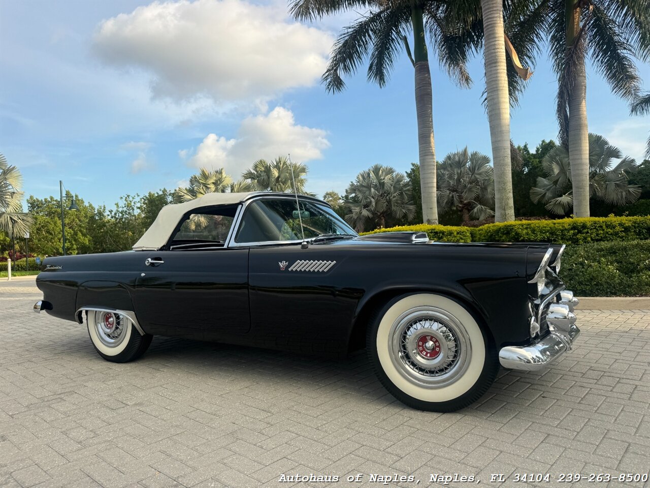 1955 Ford Thunderbird - Photo 6 - Naples, FL 34104