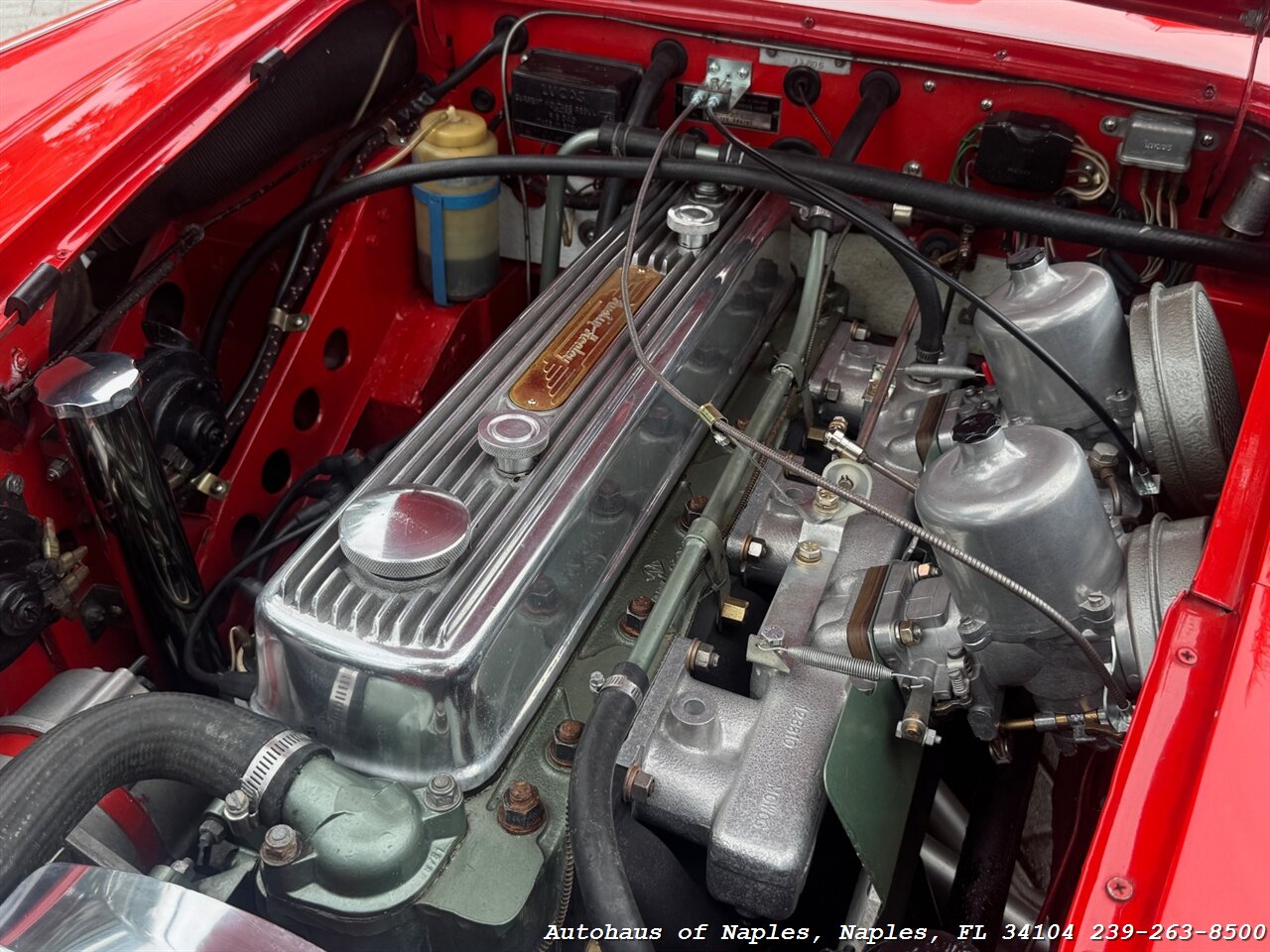 1965 Austin Healey 3000 BJ8 - Photo 43 - Naples, FL 34104