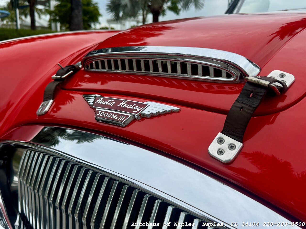1965 Austin Healey 3000 BJ8 - Photo 27 - Naples, FL 34104