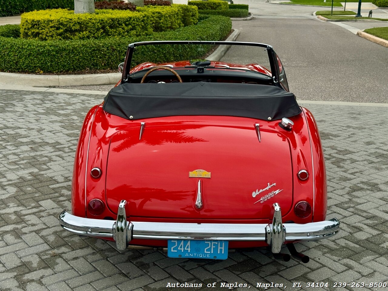 1965 Austin Healey 3000 BJ8 - Photo 15 - Naples, FL 34104
