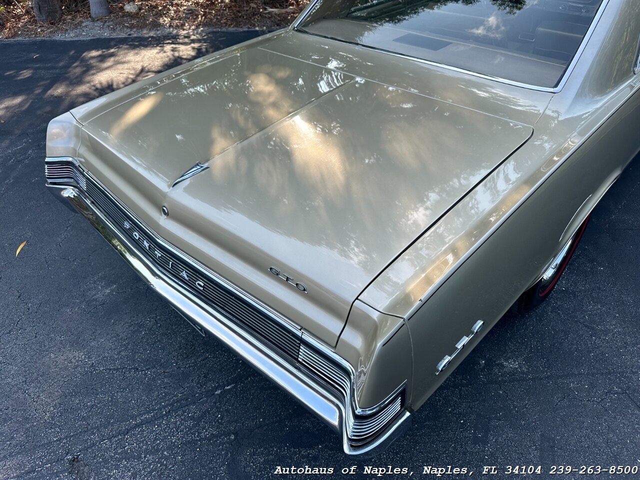 1965 Pontiac GTO   - Photo 22 - Naples, FL 34104