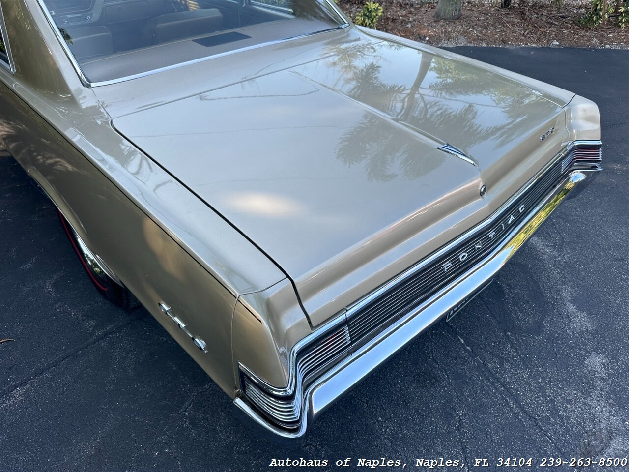 1965 Pontiac GTO   - Photo 23 - Naples, FL 34104