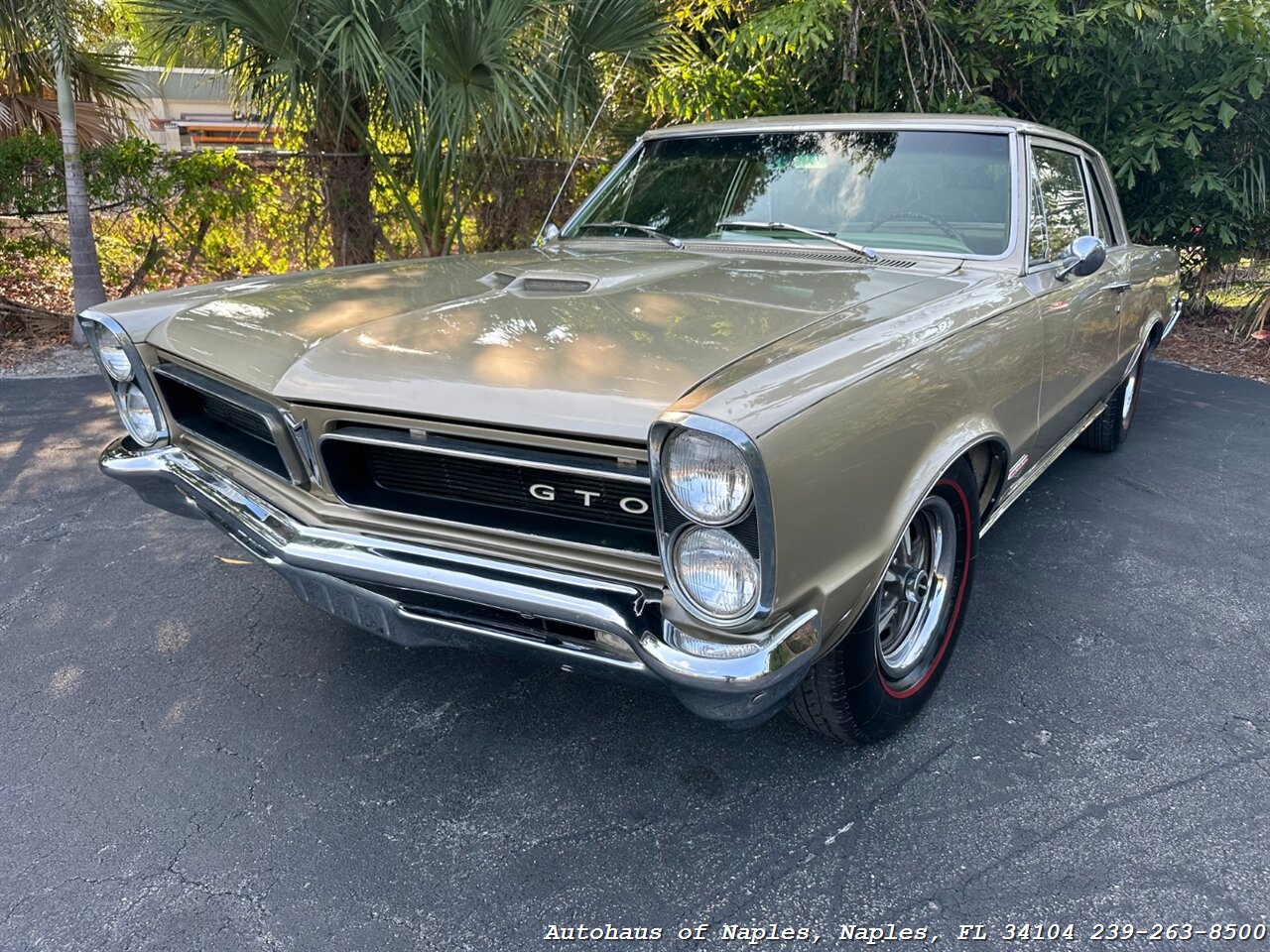 1965 Pontiac GTO   - Photo 4 - Naples, FL 34104