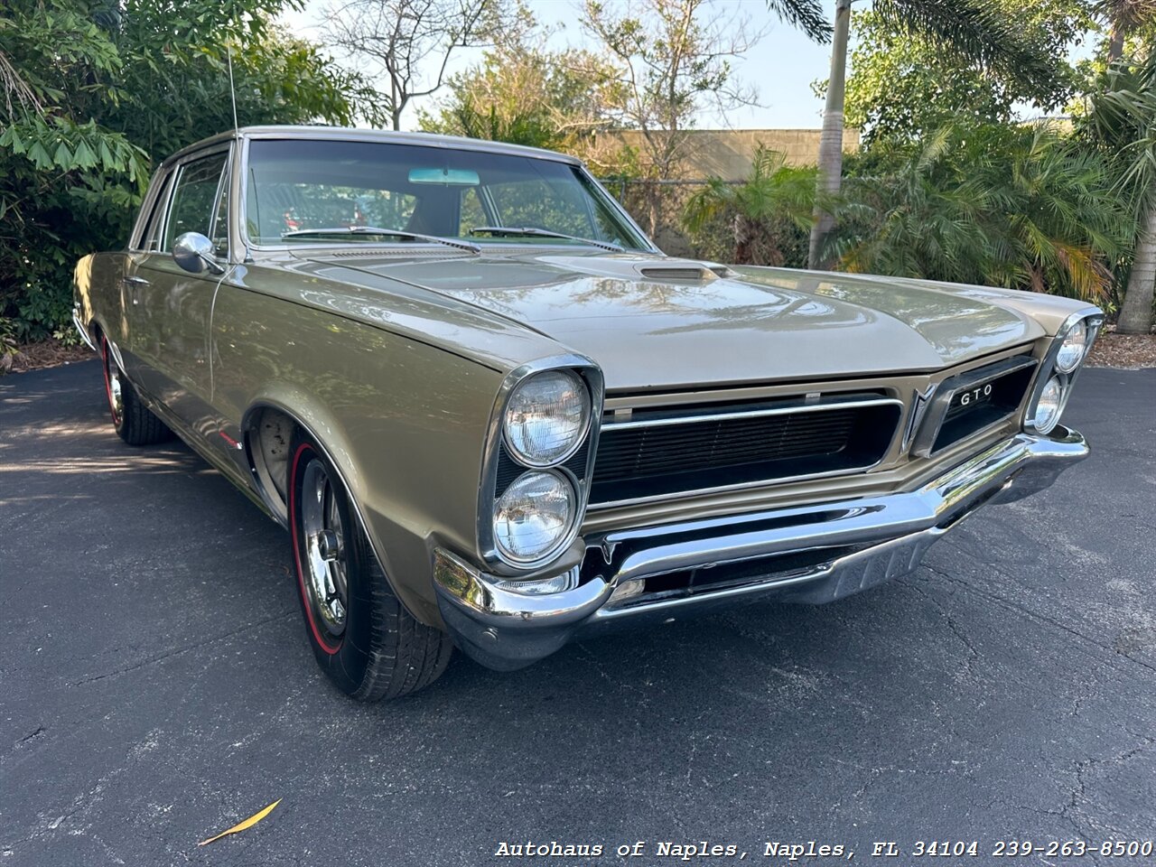 1965 Pontiac GTO   - Photo 1 - Naples, FL 34104