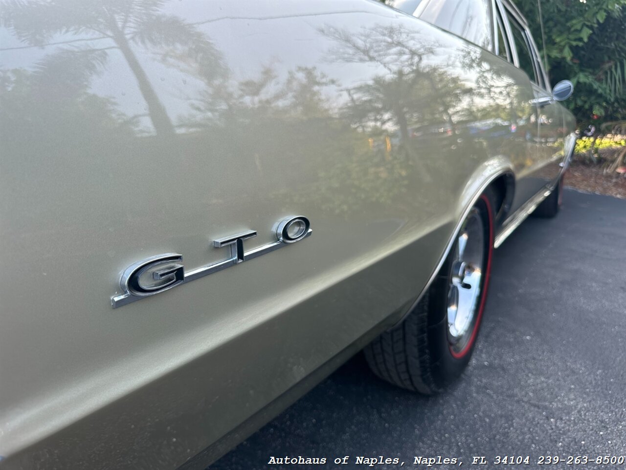 1965 Pontiac GTO   - Photo 18 - Naples, FL 34104