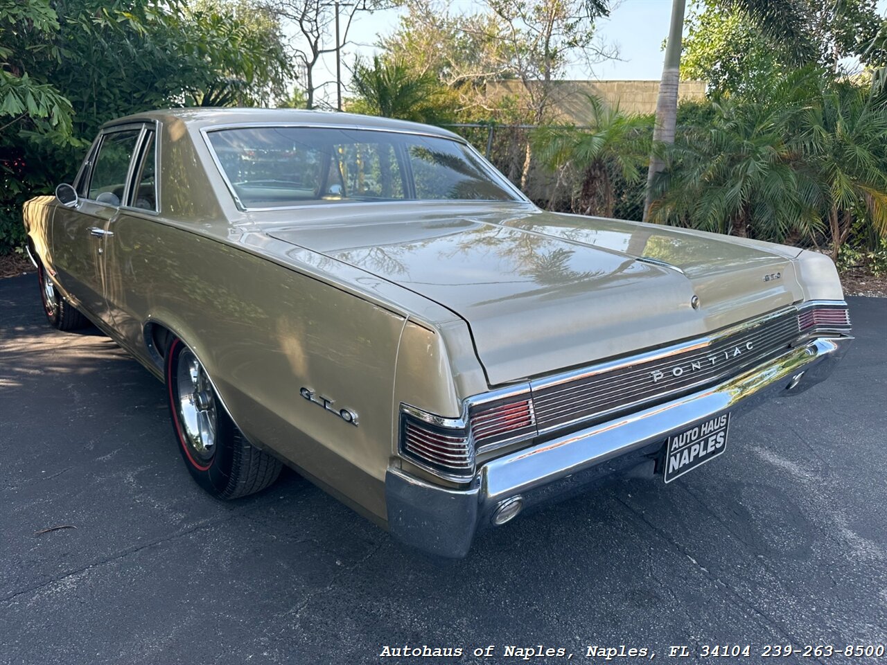 1965 Pontiac GTO   - Photo 12 - Naples, FL 34104