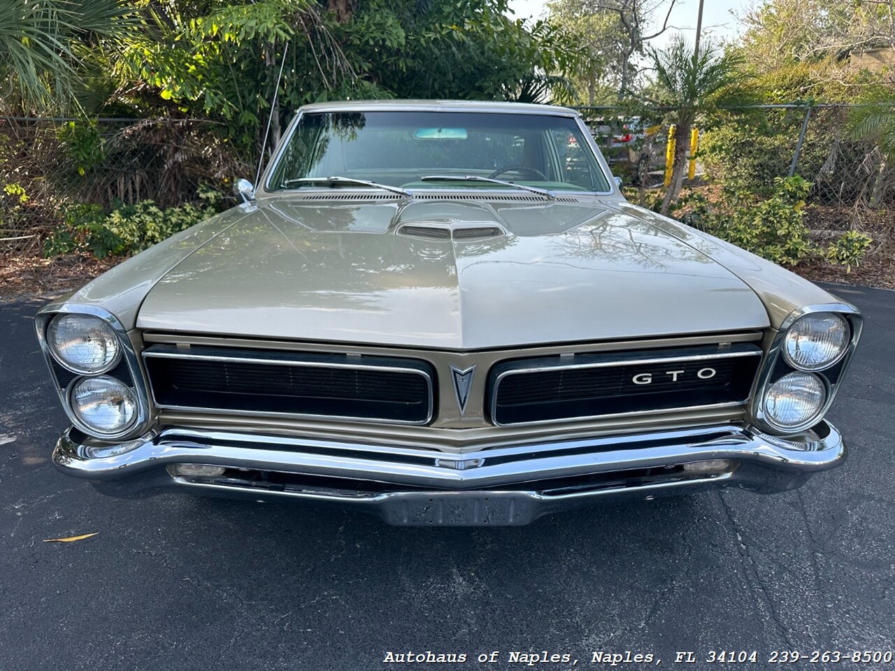 1965 Pontiac GTO   - Photo 3 - Naples, FL 34104