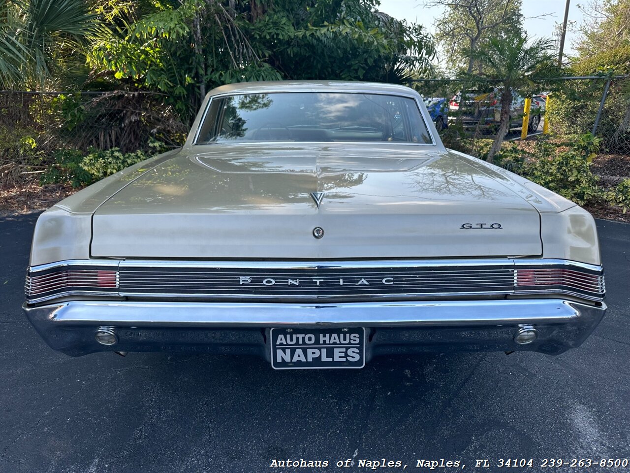 1965 Pontiac GTO   - Photo 13 - Naples, FL 34104