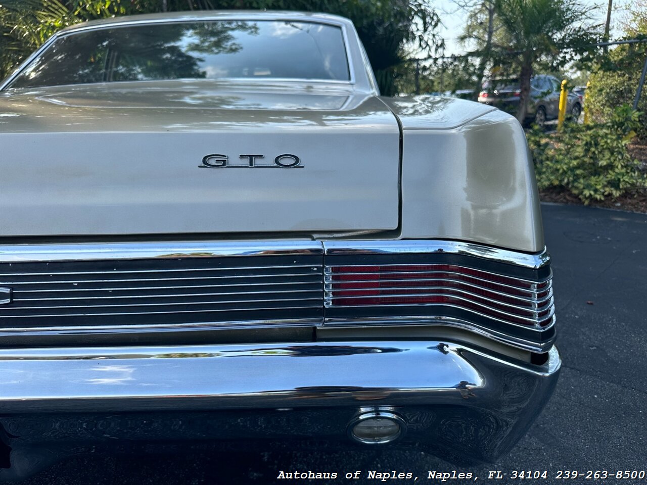 1965 Pontiac GTO   - Photo 16 - Naples, FL 34104