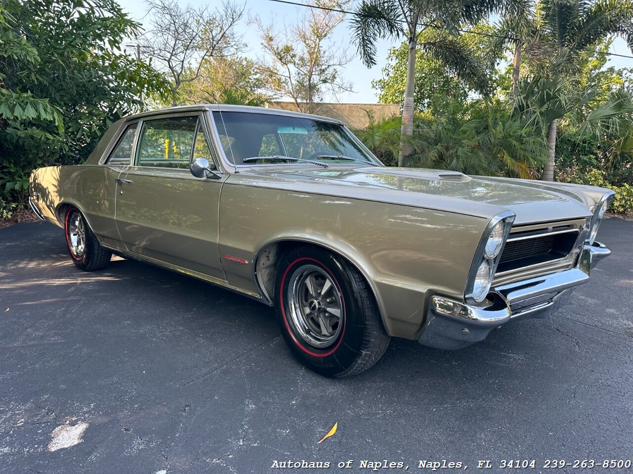 1965 Pontiac GTO   - Photo 2 - Naples, FL 34104