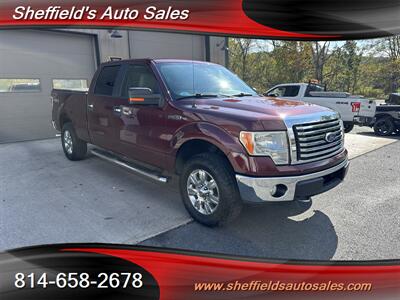 2010 Ford F-150 XLT  SuperCrew 4x4 Truck