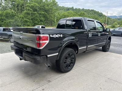 2014 Ford F-150 Platinum SuperCrew 4x4 - Photo 4 - Hesston, PA 16647
