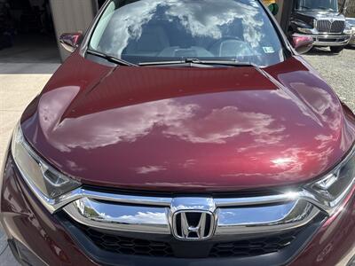 2019 Honda CR-V EX-L  AWD - Photo 14 - Hesston, PA 16647