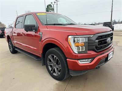 2023 Ford F-150 XLT  Crew Cab 4x4 Truck