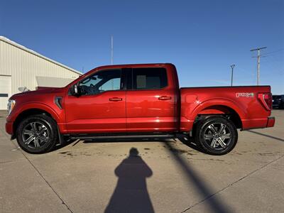 2023 Ford F-150 XLT Crew Cab 4x4 - Photo 3 - Lone Tree, IA 52755