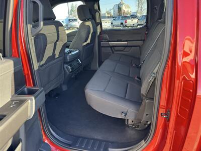 2023 Ford F-150 XLT Crew Cab 4x4 - Photo 13 - Lone Tree, IA 52755