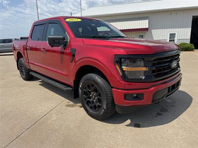 2025 Ford F-150 XLT  Crew Cab 4x4 Truck