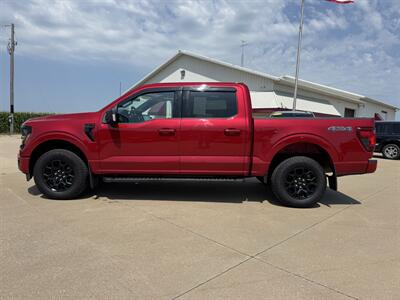 2025 Ford F-150 XLT Crew Cab 4x4 - Photo 3 - Lone Tree, IA 52755