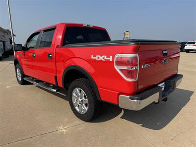 2013 Ford F-150 XLT  Crew Cab 4x4 - Photo 6 - Lone Tree, IA 52755