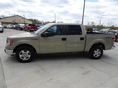 2009 Ford F-150 XLT   - Photo 10 - Cincinnati, OH 45255