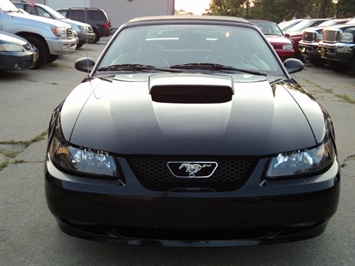 2003 Ford Mustang GT   - Photo 2 - Cincinnati, OH 45255