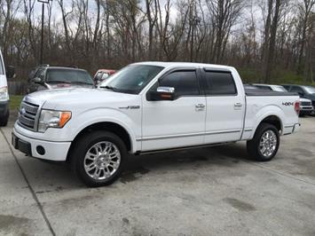 2009 Ford F-150 Platinum   - Photo 3 - Cincinnati, OH 45255