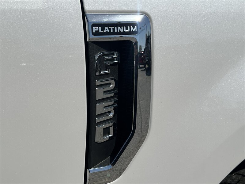 2019 Ford F-250 Platinum - Photo 33 - Lewisville, TX 75057