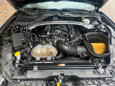 2019 Ford Mustang GT350 - Photo 19 - Marlborough, MA 01752