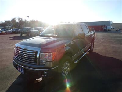2010 Ford F-150 XLT   - Photo 4 - Omaha, NE 68127