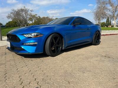 2019 Ford Mustang EcoBoost  