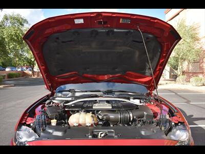 2019 Ford Mustang GT Premium   - Photo 33 - Mesa, AZ 85201