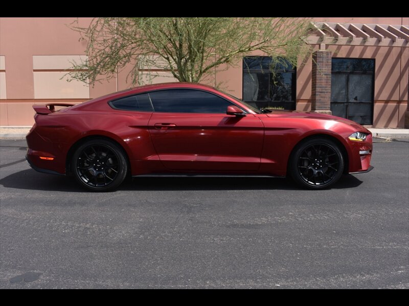 2019 Ford Mustang EcoBoost   - Photo 1 - Mesa, AZ 85201