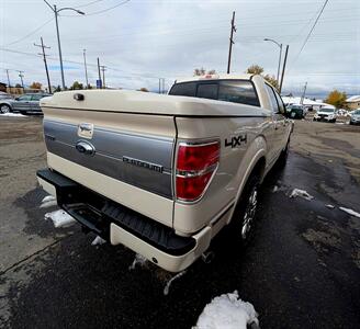 2009 Ford F-150 Platinum   - Photo 6 - Helena, MT 59601