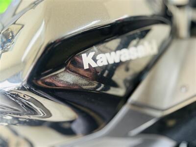 2024 Kawasaki Ninja 500 ABS   - Photo 13 - Arcadia, CA 91006