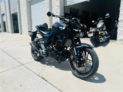 2023 Yamaha MT 03