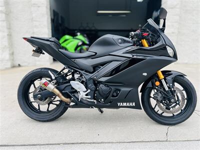 2019 Yamaha YZF-R3 ABS  